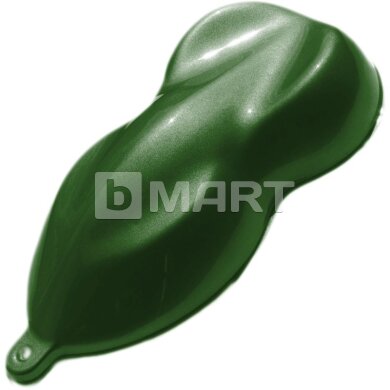 Ford NPS Laubgruen Raptor