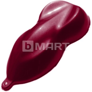 Ford PNEDC Apollorot Raptor