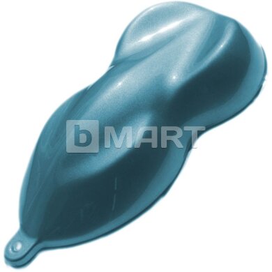 Ford NG Light blue Raptor