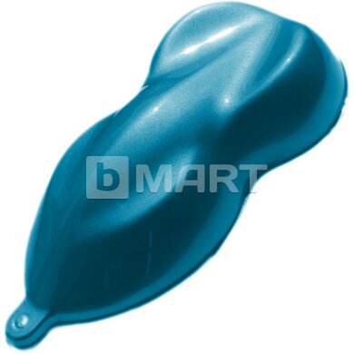 Ford PNKGB Bavariablau Raptor