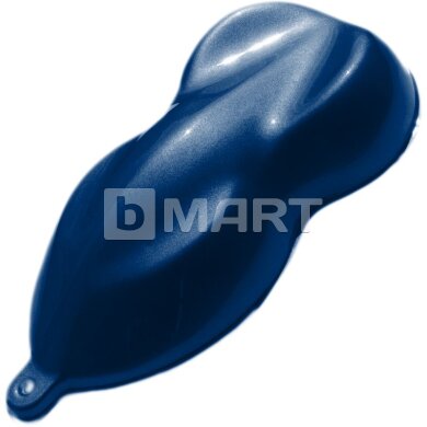 Ford Q0 Bleu indigo Raptor